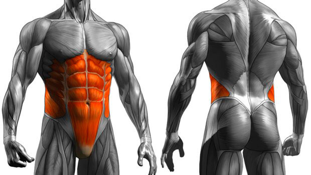 Total-Core-Training-for-Lifters Total-Core-Training-for-Lifters