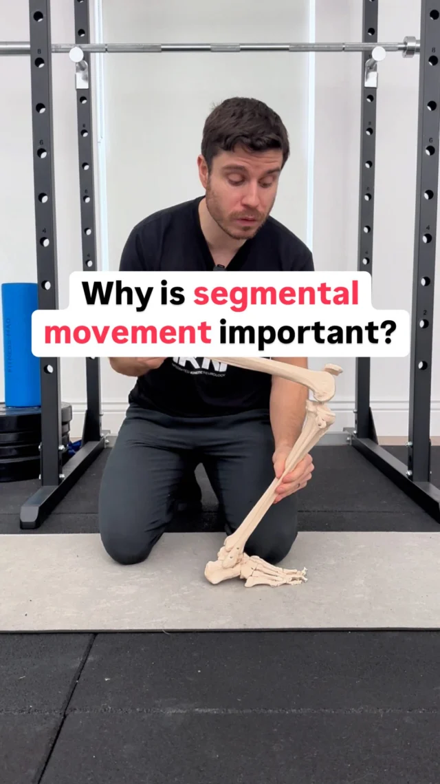 Why is it helpful to appreciate the directional movement of bony segments (vs joints) in relation to the forces acting on them?

This is one example in the video above ☝️ 

One reason is that is allows us to get a clearer insight into what muscular actions are being challenged most during movement (because muscles pull on bony segments)

This can help us identify what muscular tissues the client is avoiding during multi-joint movement 

This can then facilitate more targeted rehab and the restoration of more available movement options 🔑